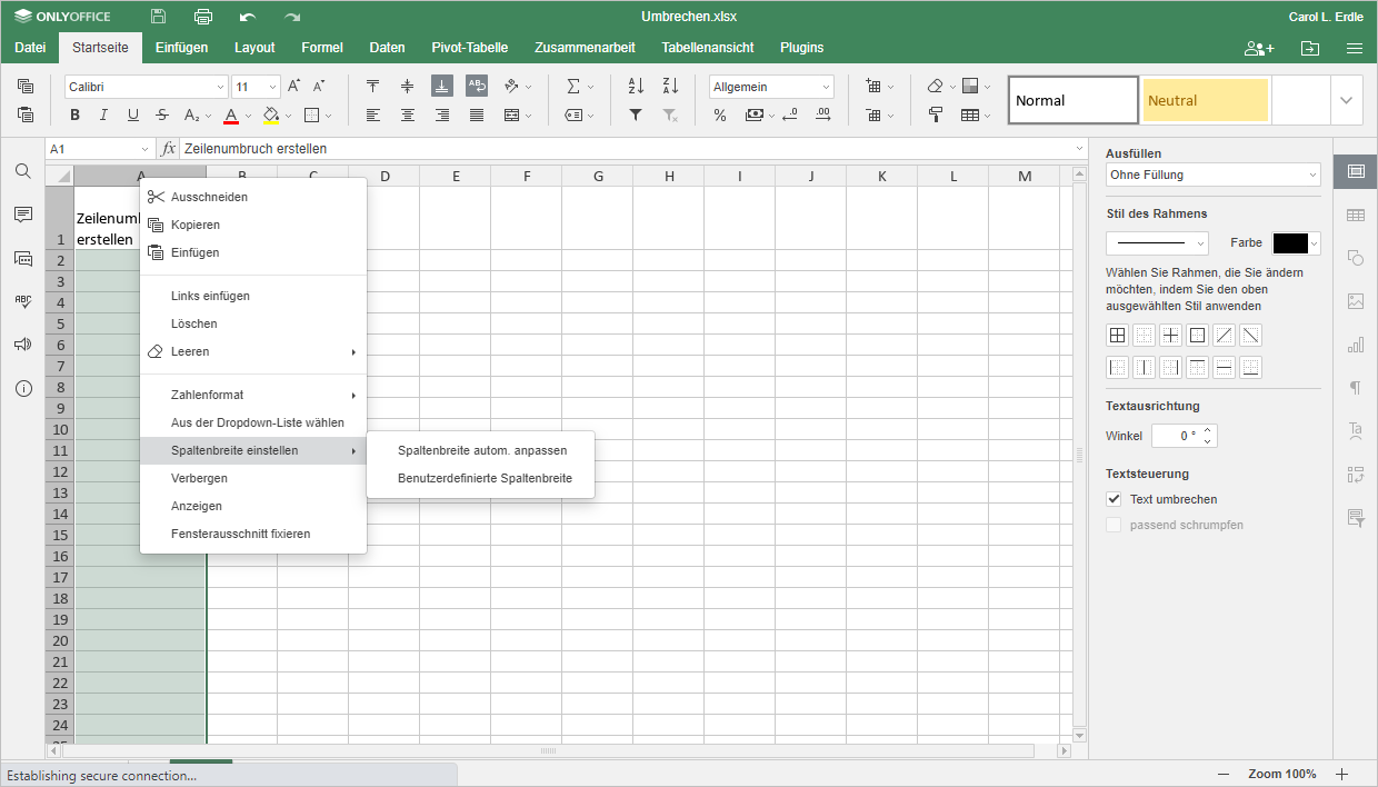 Zeilenumbruch in Excel Schritt 1