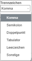 Trennzeichentyp