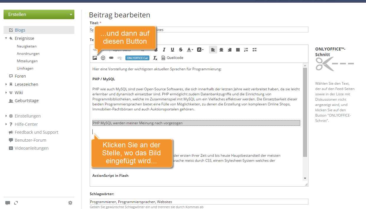 Wie fügt man ein Bild in einen Beitrag ein? Schritt 2