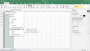 Zeilenumbruch in Excel Schritt 1