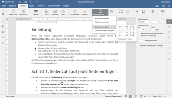 Seitenzahl in Word Schritt 1