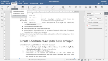 Seitenzahl in Word Schritt 2