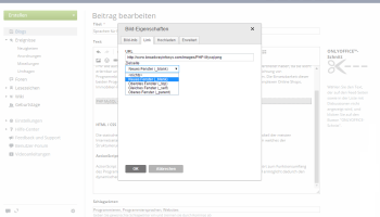 How to insert an image into your posted message? Step 2