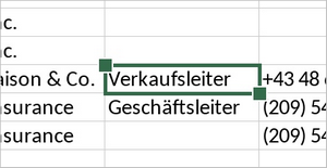 Zellenauswahlgriff