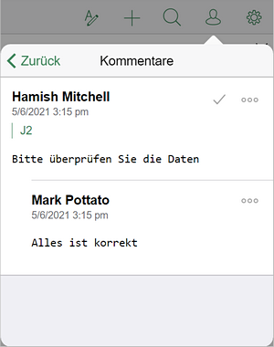 Kommentar-Fenster