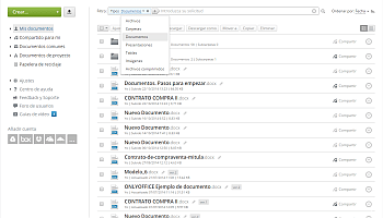 ¿Cómo coeditar el documento en línea? Step 2
