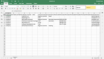 Comment exporter votre base de données des clients CRM et la modifier en utilisant Spreadsheet Editor? Étape 3.