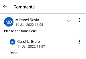 Comments panel local