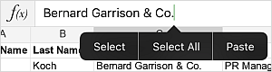 Text in the formula bar