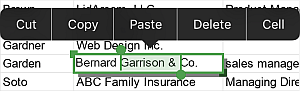 Select data in a cell
