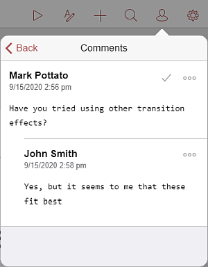 Comments panel