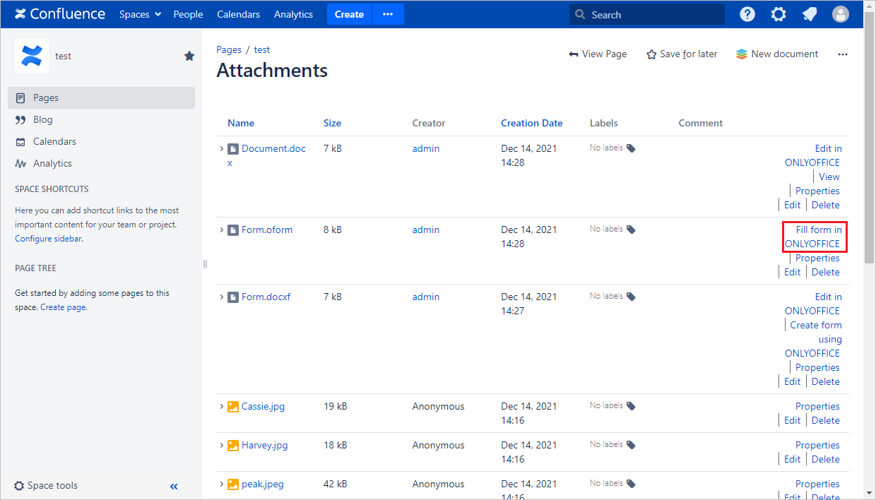 ONLYOFFICE_fillform