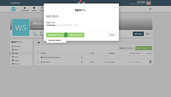 ONLYOFFICE_editview