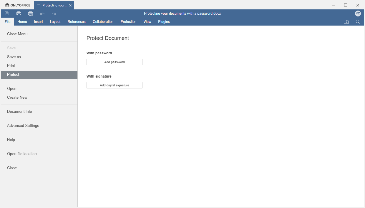 Protection section of the File tab