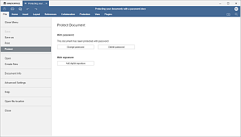 Protection section of the File tab