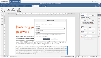 Set Password window