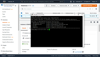 Connect to your server via SSH