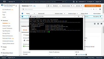 Connect to your server via SSH