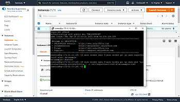 Enable test examples