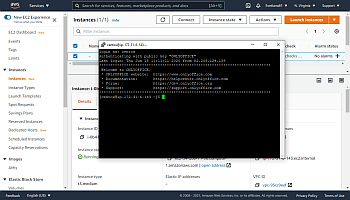 Connect to your server via SSH