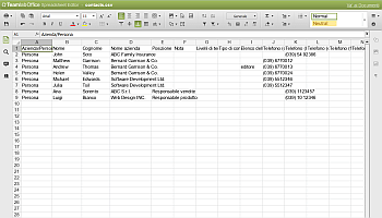 Come esportare la tua banca dati dei clienti da CRM e modificarla usando Spreadsheet Editor? Passo 3