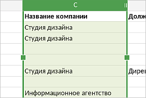Маркеры выделения столбца
