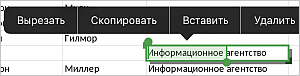 Выделение данных в ячейке